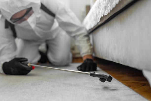 Professional Termite Control technician working in Tamiami, FL