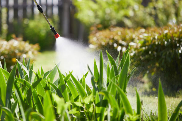 24/7 Emergency Termite Control experts in Tamiami, FL