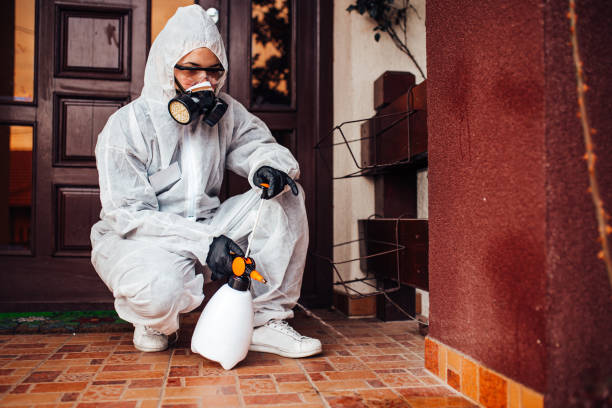 Reliable Termite Control contractor in Tamiami, FL by Nex Pest Control